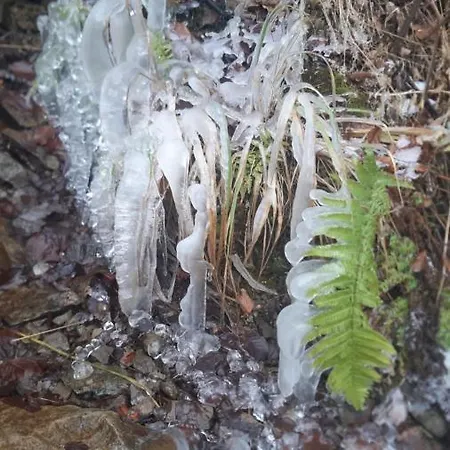 Swit Rum i privatbostad *