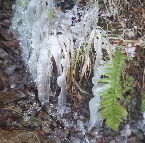 Swit Privatunterkunft *