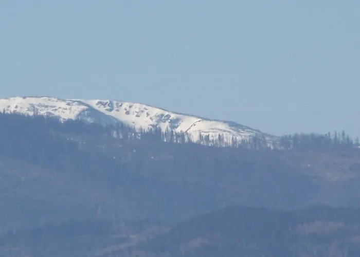 Privatunterkunft Swit *